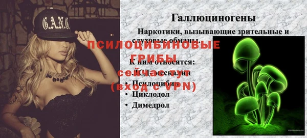 ECSTASY Абаза