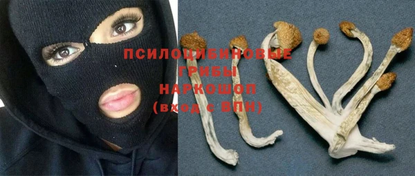 ECSTASY Абаза