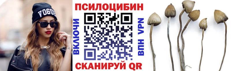 Псилоцибиновые грибы прущие грибы  ссылка на мегу зеркало  Холм  как найти закладки 